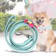 thumbnail image 5 of Hermosa flor mascota tirando cuerda cachorro perro tirando cable correa (azul), 5 of 8