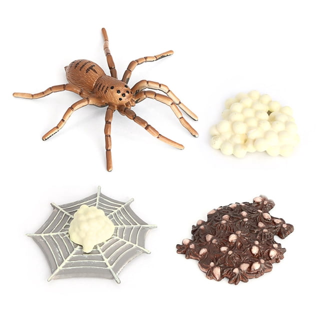 Vogacara Kit de simulación de insectos, crecimiento Animal, aprendizaje, escuela educativa, preescolar, jardín de infantes, juguetes de imaginación, Juguetes Educativos Vogacara FN010055-00