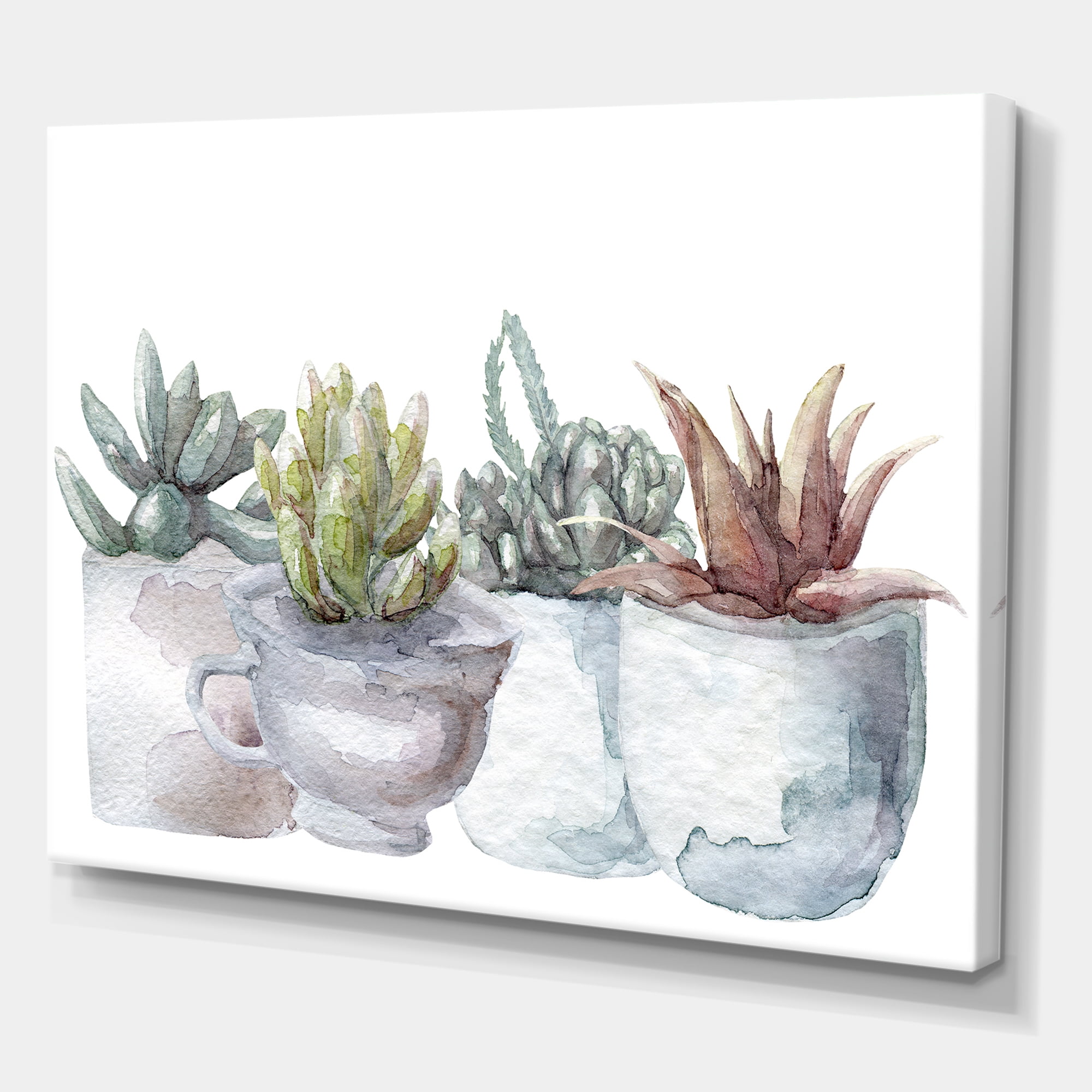 Succulent and Cactus House Plants IV 8 in x 12 in Painting Canvas Art Print, by Designart
