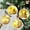 LED Reindeer Ornament, variant on Joyfy Christmas Tree Topper,with LED Gold Print Glitter Small Star Tree Topper with Lights,Light Up Tree Topper Christmas Decorations Xmas Tree Decorations