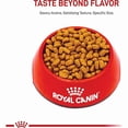 thumbnail image 2 of Royal Canin Breed Health Nutrition Maltese Adult Dry Dog Food 10 lbs., 2 of 2