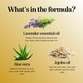 thumbnail image 4 of Soothing Oatmeal Shampoo for Dogs - Cleansing and Moisturizing Aloe & Oatmeal Dog Shampoo for Smelly Dogs of all Ages & Breeds - Gentle Sulfate and Paraben Free Dog Wash (Sweet Cherry), 4 of 7