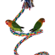 thumbnail image 5 of Palo de pie para loros, palo de estación de cuerda de algodón para escalada, artículos para loros, juguete para masticar, cuerda de algodón de Color de juguete ER, 5 of 5