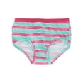 thumbnail image 3 of Fruit of the Loom Girls Eversoft Panty Briefs Underwear, Assorted Color - Size 14 - Pack of 6, 3 of 6