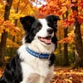 thumbnail image 4 of Reflective Adjustable Collar for Small Medium and Cats Neck Band, 4 of 8