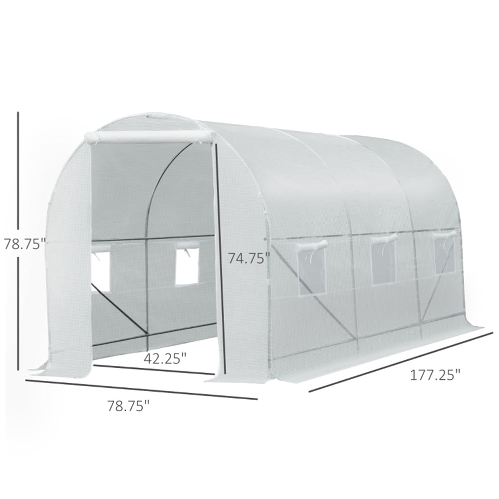 Walk-In Tunnel Greenhouse
