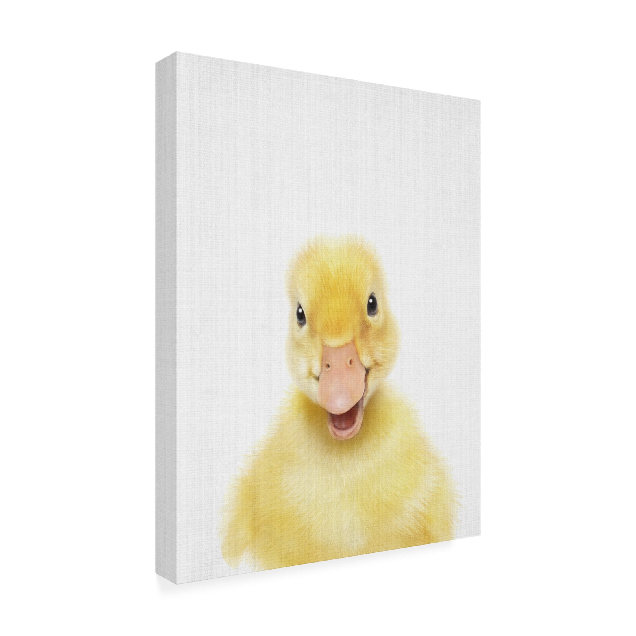 Trademark Fine Art Lola Peacock  Peekaboo Baby Duck Canvas Wall Art