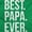 Irish Green, variant on Best Papa Ever Fathers Day Gift Men's Graphic T Shirt Tees Brisco Brands L