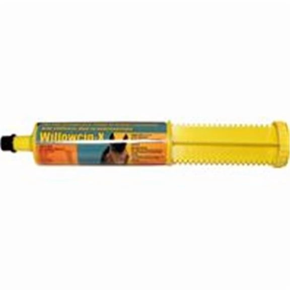 Finish Line 129117 Willowcin Horse X Pain Relief Gel