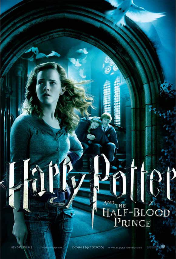 Details about   Harry Potter Collector's Poster Print Half-Blood Prince 11" x 17" 