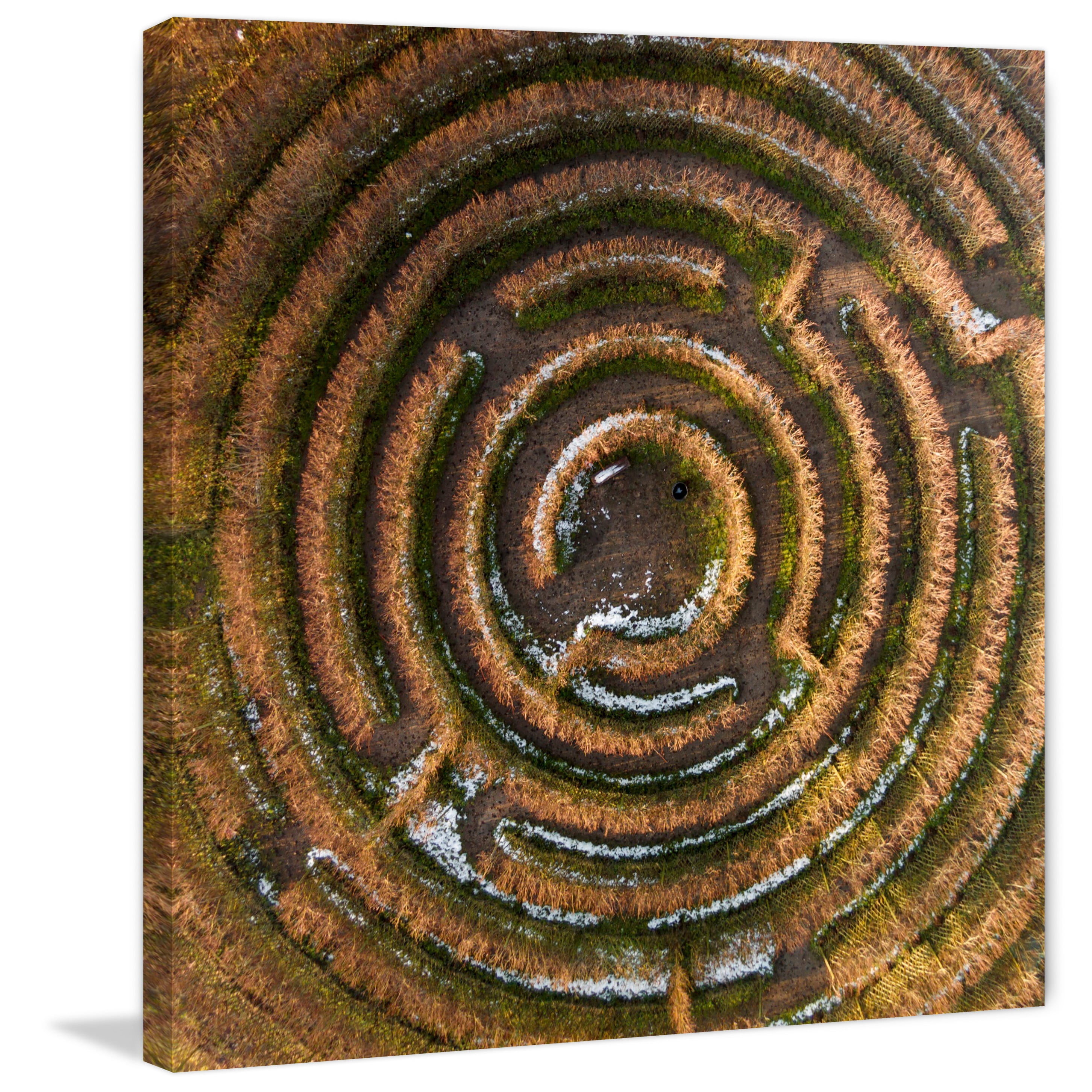Marmont Hill "Crop Circle" by Karolis Janulis Painting Print on Wrapped Canvas