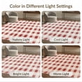 thumbnail image 7 of ODIKA 4'x6' Washable Area Rug Front Plaid Door Checkered Gingham Vintage Tone Repeat Throw for Dorm Room, Small Living Room, Stain Resistant Low Profile, Easy Care, 7 of 7