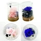 thumbnail image 3 of Labymos Flor de rosa real preservada Rosa, 3 of 8