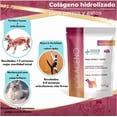 thumbnail image 3 of Medical Solutions Colageno para perros y gatos 200 g, 3 of 6