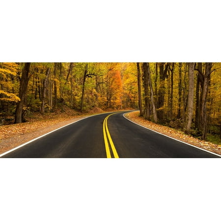 Canvas Print Fall Foliage Autumn Colorful Rural Road Scenic Stretched Canvas 10 x