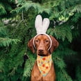 thumbnail image 6 of dajkiuy 1 Pcs Easter Dog Bandana,Triangle Reversible Pet Scarf for Boy and Girl,Premium Durable Fabric, Holiday Bandana for Small Medium Large and Extra Large Dogs, 6 of 6
