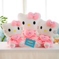 thumbnail image 5 of Cute Hello Kitty Pink Plush Stuffed Toys Anime Cartoon Plushie Doll Soft Stuffed Pillow Toys For Children Birthday Xmas Gifts, 5 of 5