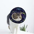 thumbnail image 1 of Whale Shark Soft Cat Dog Recovery Collar Adjustable Cat Cone Wound Healing Protective After Surgery for Large/Medium/Small Dogs Cat, 1 of 7