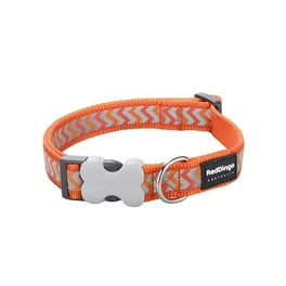 Lumitube dog collars hotsell