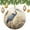 pattern-1504, variant on Christmas Ornaments Heron Bird Wildlife Personalized Christmas Ornament Christmas Tree Decoration Gifts for Women Men Blue Heron Is Sitting In The Grass Christmas Tree Ornament