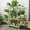 Green, variant on ShadeMart Bamboo A-Frame Plant Shelf Stand 9 Tier for Indoor and Outdoor Useï¼Green