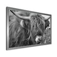 thumbnail image 2 of Designart 'Close Up Of Scottish Cow On Moorland II' Farmhouse Framed Art Print, 2 of 4