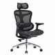thumbnail image 1 of Yeshouse Silla de oficina ergonómica Doro c300, grande y alta con respaldo ajustable, reposabrazos 3D y soporte lumbar dinámico, de malla, ideal para oficina en casa, 1 of 9