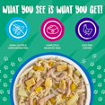 thumbnail image 2 of Classics Bed & Breakfast with Chicken, Egg, Pumpkin & Ham in Gravy Wet Dog Food 14 oz., Case of 12, 2 of 2