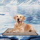 thumbnail image 4 of Almohadillas Para Gatos Almohadillas De Verano Almohadillas Para Perros Y Gatos Almohadillas Para Mascotas Almohadillas De Verano Almohadillas De Hielo Rascar Natural, 4 of 4