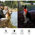 thumbnail image 4 of Vorkoi LED Dog Collar USB Rechargeable Waterproof Adjustable Light Up Dog Collar Super Bright Safety Light Glowing Collars, 4 of 8