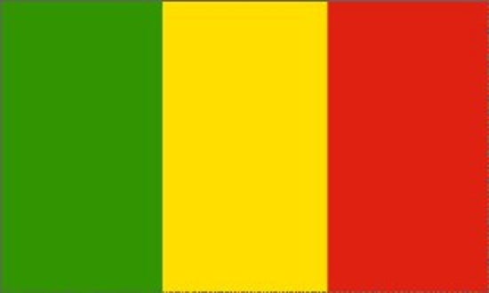 IVORY COAST CAR AND WALL FLAG PENNANT BANNER 5 X 6 INCH