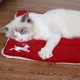 thumbnail image 4 of Estera para mascotas con tema navideño, estera para sofá con jaula para perrera y gato con tema navideño, estera para cama para perros y gatos, rendimiento de primer nivel, 4 of 9