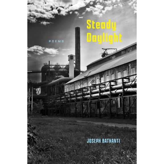 Steady Daylight: Poems, (Paperback)