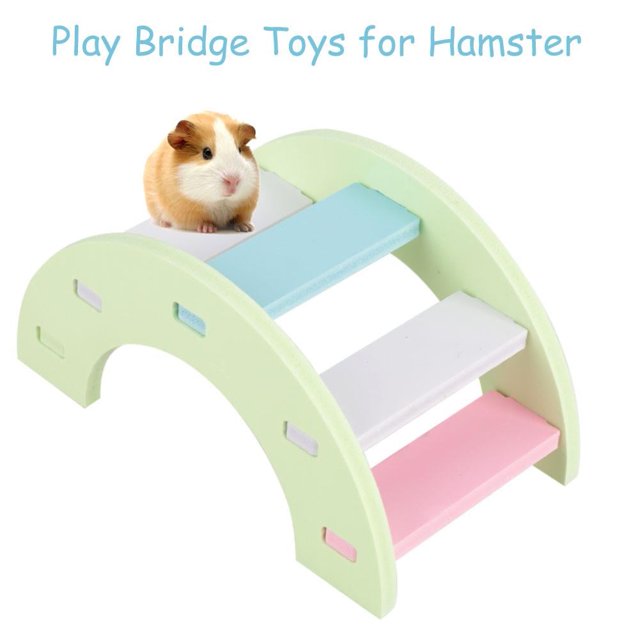 Puente de madera para hámster WALFRONT, juguete con balancín de arcoíris, jaula de actividades para conejillos de indias, ratones y mascotas (rosa/verde)