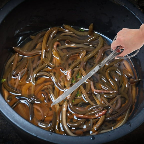 FESTFENDS 1Set Material Fish Grabber Ergonomic Handle Clamp Design For Men And Women Fishing