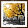 thumbnail image 5 of Art.com Park Pretty II Photographic Print by Assaf Frank, Brown Frame Wall Art, 38" x 38", 5 of 5