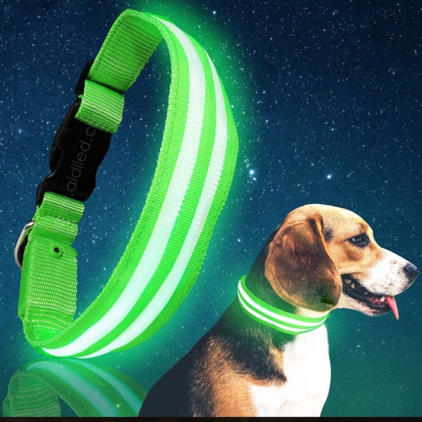 1 collar luminoso verde de tamaño mediano para perros, recargable, para mantener a tu perro o gato pequeño visible y seguro.
