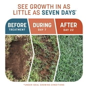 Pennington Smart Patch Bermuda Grass Seed Mix, for Full Sun Grasses, 12 lb. Bonus Size