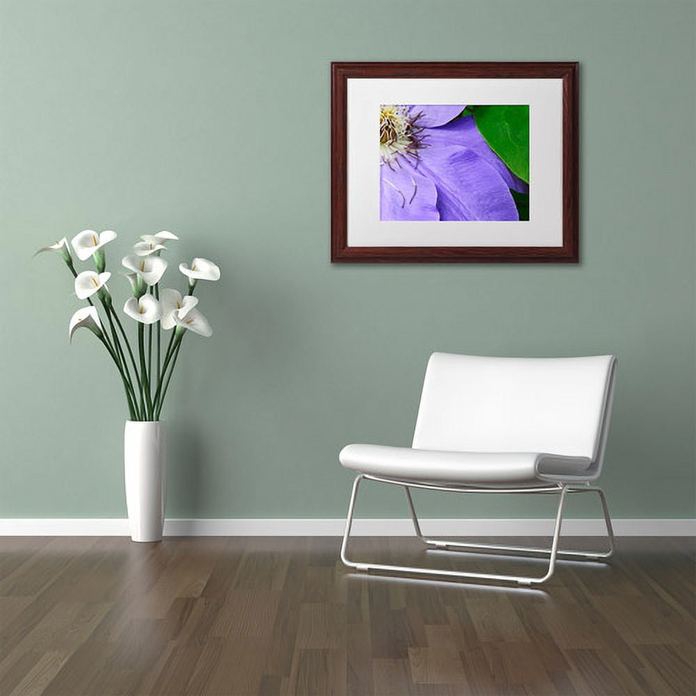 Trademark Fine Art "Clematis Abstract" Canvas Art by Kurt Shaffer White Matte, Wood Frame