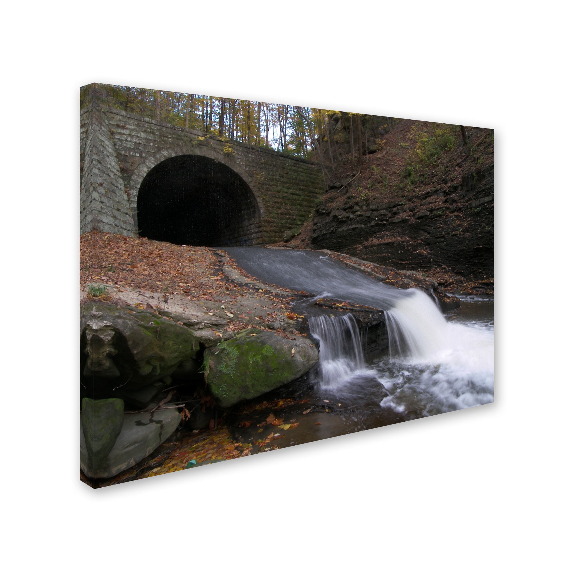 Trademark Fine Art "Monotonous Beauty" Canvas Art by Monica Fleet
