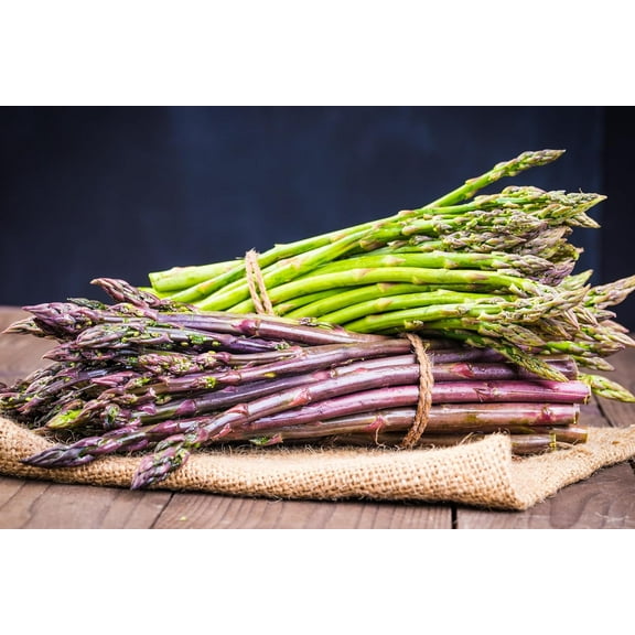 Asparagus Garden Variety Pack, 30 Plants (10 of Each) - Mary Washington, Purple Passion, Jersey Knight - Asparagus Bare Root Plants