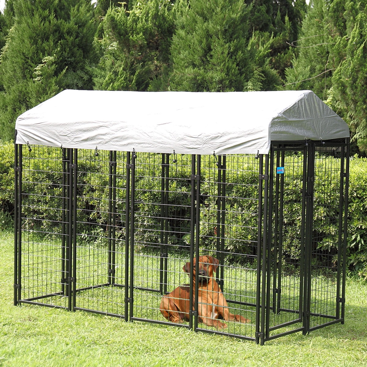 cat kennel large