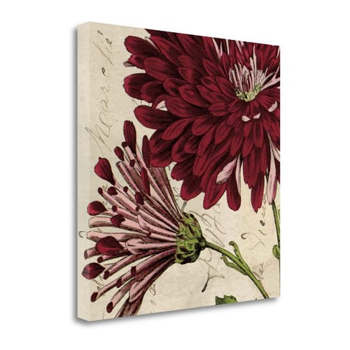 Tangletown Fine Art Joyful Bloom Ii Graphic Art Print On Wrapped Canvas Walmart Com Walmart Com