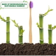 thumbnail image 3 of Mistayd Biodegradable Bamboo Toothbrushes. 10 Piece BPA Free Soft Bristles Toothbrushes. Natural. Eco-Friendly. Green and Compostable (Multicolored Bristles), 3 of 5
