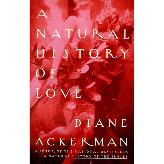 A Natural History of Love : Author of the National Bestseller A Natural History of the Senses (Paperback)