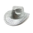 thumbnail image 3 of Baberdicy Cowboy Hat Clearance！Women's Big Brim Cowboy Hat Western Bowler Hat Wide Brim Style Silver, 3 of 3