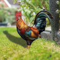 thumbnail image 1 of Cockerel Garden Statues Outdoor Chicken Decoration Weather Resistant Chicken Yard Art Standing Sculpture Garden Decoration, 1 of 4