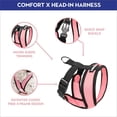 thumbnail image 2 of Arnés Gooby Comfort X Head en rosa para perros pequeños, 2 of 6