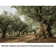 thumbnail image 5 of Al'ARD Extra Virgin Olive Oil First Cold Pressed 750mL / 25.36fl.oz. One (1) Bottle - زيت زيتون الأرض الفلسطيني, 5 of 9