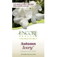 thumbnail image 5 of Encore Azalea Autumn Ivory (1 Gallon) White Flowering Shrub - Full Sun Live Outdoor Plant, 5 of 8